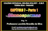 Professora Leonilda Brandão da Silva · Mais de 50.000 espécies, em torno de 19% da flora mundial: ... Ciclo de vida: Gimnospermas Esporófito maduro (2n) Germinação Pinhão Grãos