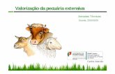 Valorização da pecuária extensiva - drapc.min-agricultura.pt · Eficiência na produção de ruminantes Com base no melhoramento das pastagens naturais e/ ou na instalação de