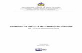 Relatório de Vistoria de Patologias Prediais - DFO/SEOMAdfo.ufsc.br/files/2011/12/RELATORIO_NDI_V03.pdf · Relatório da Vistoria de Patologias Prediais – Página 14 Foram encontradas