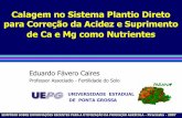 Calagem no Sistema Plantio Direto para Correção da Acidez ...brasil.ipni.net/ipniweb/region/brasil.nsf... · Introdução Correção da acidez do solo no plantio direto: calcário