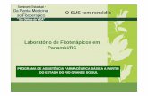 Laboratório de Fitoterápicos em Panambi/RS panambi.pdf · nas culturas de ervas medicinais, na implantação de plasticultura e ... Laboratório, melhorando os aspectos sócio-econômicos