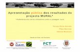 Apresentação pública dos resultados do projecto MURAL* · Que elementos são importantes ? Projecto MURAL – Preferência dos vários utilizadores sobre a paisagem rural (Universidade