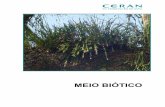 MEIO BIÓTICO - Ceran - Home · mudanças de substrato (planta hospedeira) e de altura em relação à planta hospedeira ... Essa atividade foi realizada pelo Eng. florestal Eleandro