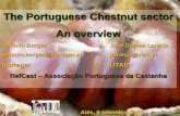 The Portuguese Chestnut sector Castanha An overview ... · Castanha, Encontro com operadores da grande distribuição The Portuguese Chestnut sector An overview António Borges José