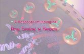 Imunidade Humoral (mediado por AC) Imunidade celular …profiva.dominiotemporario.com/doc/Imuno3.pdf · 2011-01-08 · •Ele também é um fator em algumas reações contra tecido
