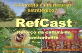 RefCast Reforço da cultura do castanheiro - cm-penela.pt · Potenciar o consumo da castanha durante o ano RefCast - Eixo de Promoção . RefCast - resumo . RefCast ...