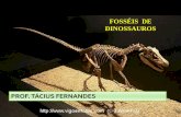 PROF. TÁCIUS FERNANDES · bilhões de anos, até o surgimento de uma larga quantidade de fósseis, que ... Aparecimento dos primeiros primatas. Predomínio das angiospermas.