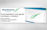 Sustentabilidade: uma agenda estratégica e inadiávelibefsp.com.br/wp-content/uploads/2012/08/IBEF-Sonia-Favaretto... · • Desenvolvida por investidores institucionais e implementado