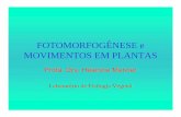 Fotomorfogênese e movimentos em plantasT42008 - Botânicafelix.ib.usp.br/pessoal/marcos/fisio2008/PDF/PDF TEORICA... · desenvolvimento de cloroplasto • Relógio biológico/ritmo