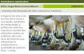 2015, Hugo Novo e Laura Moura ORDENHA · Fisiologia da glândula mamária ORDENHA A unidade secretora do leite é o alvéolo. ... consequentemente permitindo a entrada microbiana,