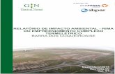 Relatório de Impacto Ambiental para o Empreendimento ... · manguezal; D – zona de praia ...