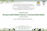 Primeira aula Responsabilidade Social e Sustentabilidadenemac.ufsc.br/files/2012/12/1-RSS-Aula-01.pdf · econômico e financeiro das empresas. Machado Filho (2006, p. 14) ... Análise