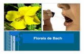 Aula de florais - portalunisaude.com.br - Acupuntura e Florais... · Os florais de Bach,ancoram na personalidade as virtudes ... Terapia Floral Terapia Floral – Utiliza flores e