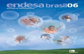 Relatório de Sustentabilidade 2006 - Enel Brasil · serviço de utilidade pública essencial à dignidade humana, e que sua ... Esta edição traz nossa atuação vista pela lente