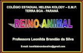 Professora Leonilda Brandão da Silva · corpo achatado dorsoventralmente, alguns como a planária, têm vida livre: ... acelomados platelmintos pseudocelomados nematódeos celomados