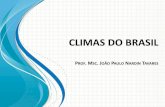 CLIMAS DO BRASIL - ceap.br · mecanismos controladores do clima e aos parâmetros quantitativos definidores dos climas brasileiros para, em ... país: a região norte, com as mais