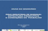ANAIS - suframa.gov.br ANAIS_SEMINARIO... · Anais do Seminário Polo Industrial de Manaus: Estrutura Produtiva e Condições de Trabalho ... Mestre em Ciências da Gestão; autor