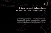 Generalidades sobre Anatomia - ict.unesp.br ROELF 2012.pdf · 3 A Anatomia estuda a forma, a constituição, a arquitetura e a configuração do corpo A Anatomia* 1 Humana tem sido