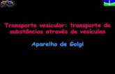 Transporte vesicular: transporte de substâncias através de ...jaguar.fcav.unesp.br/download/deptos/biologia/durvalina/TEXTO-171.pdf · autofagossomo que então se funde com os ...