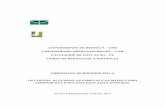 UNIVERSIDADE DE BRASILIA - bdm.unb.brbdm.unb.br/bitstream/10483/5371/1/2013_ChristianadeBrennerPilla.pdf · Monografia apresentada como requisito parcial ... À toda a equipe da Vila