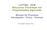 LCF1581 - 2016 Recursos Florestais em Propriedades Agrícolasesalqlastrop.com.br/img/aulas/ReducedManejo florestal 2016.pdf · ü obstáculos à colheita mecanizada Ramificações