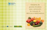 Iniciativas do governo brasileiro para a promoção do ... · Segurança Alimentar e Alimento Seguro Programa de Análise de Resíduos de Agrotóxicos em Alimentos (PARA) MS Programa