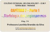 Professora Leonilda Brandão da Silva · os tecidos e a morfologia das plantas, com ênfase nas angiospermas, as plantas dominantes na maioria dos ambientes terrestres. Lembrando,