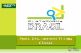 A Plataforma Brasil é uma base nacional e unificada · A Plataforma Brasil é uma base nacional e unificada de registros de pesquisas envolvendo seres humanos para todo o sistema
