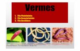 Vermes - jesusadolescente.g12.br · Profilaxia – Saneamento ... evitar contato com o mosquito e tratamento dos doentes.