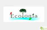 Ecologia - singularsaobernardo.com.br · -Atuam sobre organismos mortos ou resíduos e decompõem a matéria orgânica convertendo-a em compostos inorgânicos e sais minerais, gás