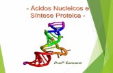CITOGENÉTICA - os ácidos nucleicos · Adenina e Guanina: Duplo anel de átomos de carbono ... A molécula de DNA possui a forma de uma dupla hélice. d) O DNA é constituído das