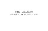 HISTOLOGIA - lasalle.edu.br fileTipos de tecidos: Tecido Epitelial Tecido Conjuntivo Tecido Muscular Tecido Nervoso