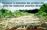 Gênese e manejo da acidez no SPD - IPNI - Brasilbrasil.ipni.net/ipniweb/region/brasil.nsf... · Gênese e manejo da acidez do ... processo de formação da matéria orgânica do