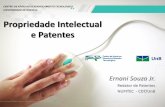 Propriedade Intelectual e Patentes - Portal CDT/UnB · Art. 11 LPI. Período de Graça. Art. 12 LPI. Porém, cada país possui uma legislação própria a respeito do período de