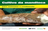 Cultivo da mandioca - Cabi ASHCafricasoilhealth.cabi.org/wpcms/wp-content/uploads/2015/04/273... · Para o bom desenvolvimento da cultura é necessário ter em conta os seguintes