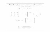 Notas de Aula Petronio Pulino - Departamento de Computação e …dcm.ffclrp.usp.br/~jair/listas/Alg_Lin_Petronio.pdf · 2012-08-08 · 140 Algebra Linear e suas Aplica¸co˜es: Notas