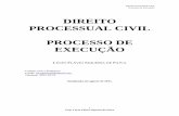 DIREITO PROCESSUAL CIVIL PROCESSO DE EXECUÇÃO - …esmeg.org.br/pdfMural/material_-__dra.__lucio_flavio_13-08-2011.pdf · CAPÍTULO I – TEORIA GERAL DA EXECUÇÃO..... 4 Conceito