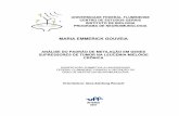 MARIA EMMERICK GOUVEIA - bvsms.saude.gov.brbvsms.saude.gov.br/bvs/publicacoes/inca/Maria_Emmerick_Gouveia.pdf · Metilação em neoplasias hematológicas 22 1.4. METILAÇÃO NA LMC