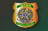 IBAMA - Instituto Brasileiro do Meio Ambiente e dos ... · IBAMA - Instituto Brasileiro do Meio Ambiente e dos Recursos Naturais Renováveis Café na Câmara dos Deputados – 06