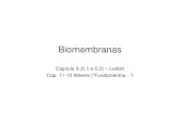 aula 6 Biomembranas - Portal IFSCanapaula/ffi710/2008/aula6.pdf · Criado por bomba de H+ na membrana plasmática A captura de muitos açúcares e aminoácidos para o interior das