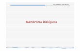 Membranas Biológicas - Bizuandobizuando.com/material-apoio/bioq/8-MembranasBiologicas.pdf · ProfªEleonora –Slide de aula Membranas biológicas Todas as células possuem na sua