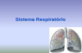 Sistema Respiratório · - Difusão e Transporte de Gases ... compostas por peças cartilagi nosas irregula res ... elas há uma fina camada de líquido viscoso (Líquido