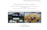 Relatório Visita Tecnica - twiki.ufba.brF3rio_de... · 3.0 Lições Aprendidas Sobre a Fase de Produção da Ostra – Técnicas Inovadoras 3.1 Coletores de sementes e outras tecnologias