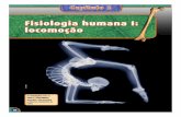 Full page photo - e-conhecimento.com.bre-conhecimento.com.br/.../Bio3_Cap2_Fisiologia_Humana1_Locomoção.pdf · tentação e locomocäo, o es- queleto também protege os órgãos