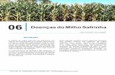 06 Doenças do Milho Safrinha - fundacaoms.org.br · de carboidratos, recorrendo-se das ... propiciando a colonização deste por outros fungos, como Colletotrichum, Gibberella, ...