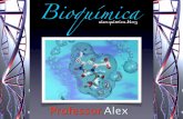 Bioquímica - alexquimicablog.files.wordpress.com · n São carboidratos que se hidrolisam, formando um número grande de moléculas de monossacarídios. Os mais importantes, são