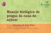 Manejo biológico de pragas da cana-de-açúcar - gebio.com.brgebio.com.br/site/wp-content/uploads/2018/07/Tecnobio6_AlexandreS... · Ácidos orgânicos Algas Extratos de algas é