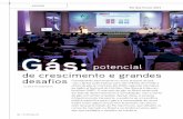 Gás - syenergy.co.uk · sões da quarta edição do Rio Gas Forum, que debateu os rumos do mercado no Brasil e na América Latina, além ... e ANP, com a contribuição da indústria,