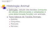 Histologia Animal - Colegio Unitauescola.unitau.br/files/arquivos/category_1/HistologiaAnimal... · Histologia Animal Tecido Conjuntivo: Formado por células amorfas com abundante