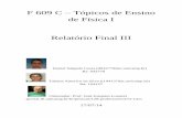 F 609 C Tópicos de Ensino de Física I Relatório Final IIIlunazzi/F530_F590_F690_F809_F895/F809/... · Daniel Salgado Costa (d042779dac.unicamp.br) Ra: 042779 ... sabão, água